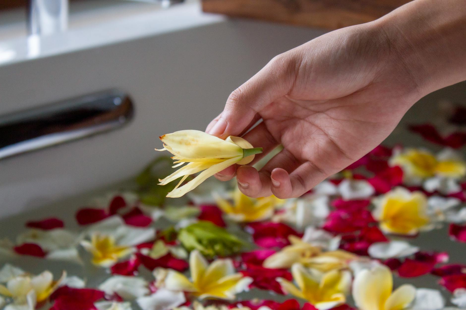 Rytuał spa z Bali w 30 minut: muzyka, kadzidło, kąpiel i olejowanie ciała Dłoń z kwiatem nad balińską kąpielą z płatkami w rytualnym spa